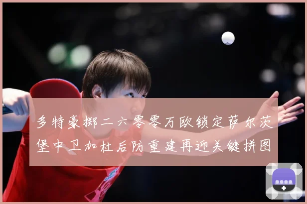 多特豪掷二六零零万欧锁定萨尔茨堡中卫加杜后防重建再迎关键拼图成长观察：最新赛事动态与深度分析